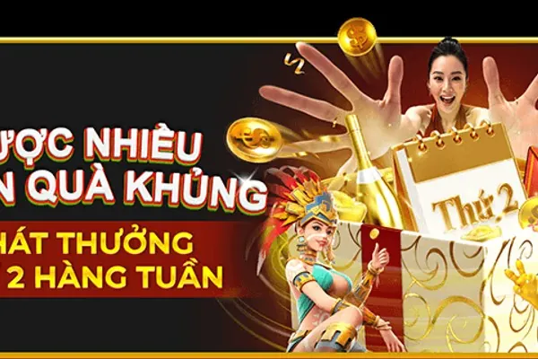 Hoàn trả hàng tuần tại VN6