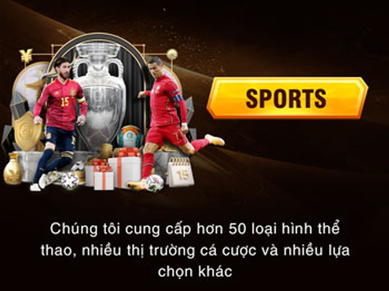 Cá Cược Thể Thao vn6